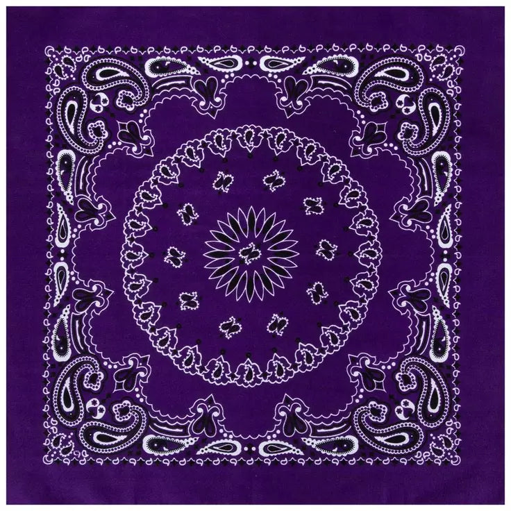 Purple Paisley Bandana Sew a Tote Bag Kit