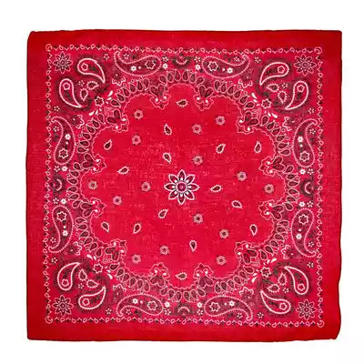 Red Paisley Bandana Sew a Tote Bag Kit