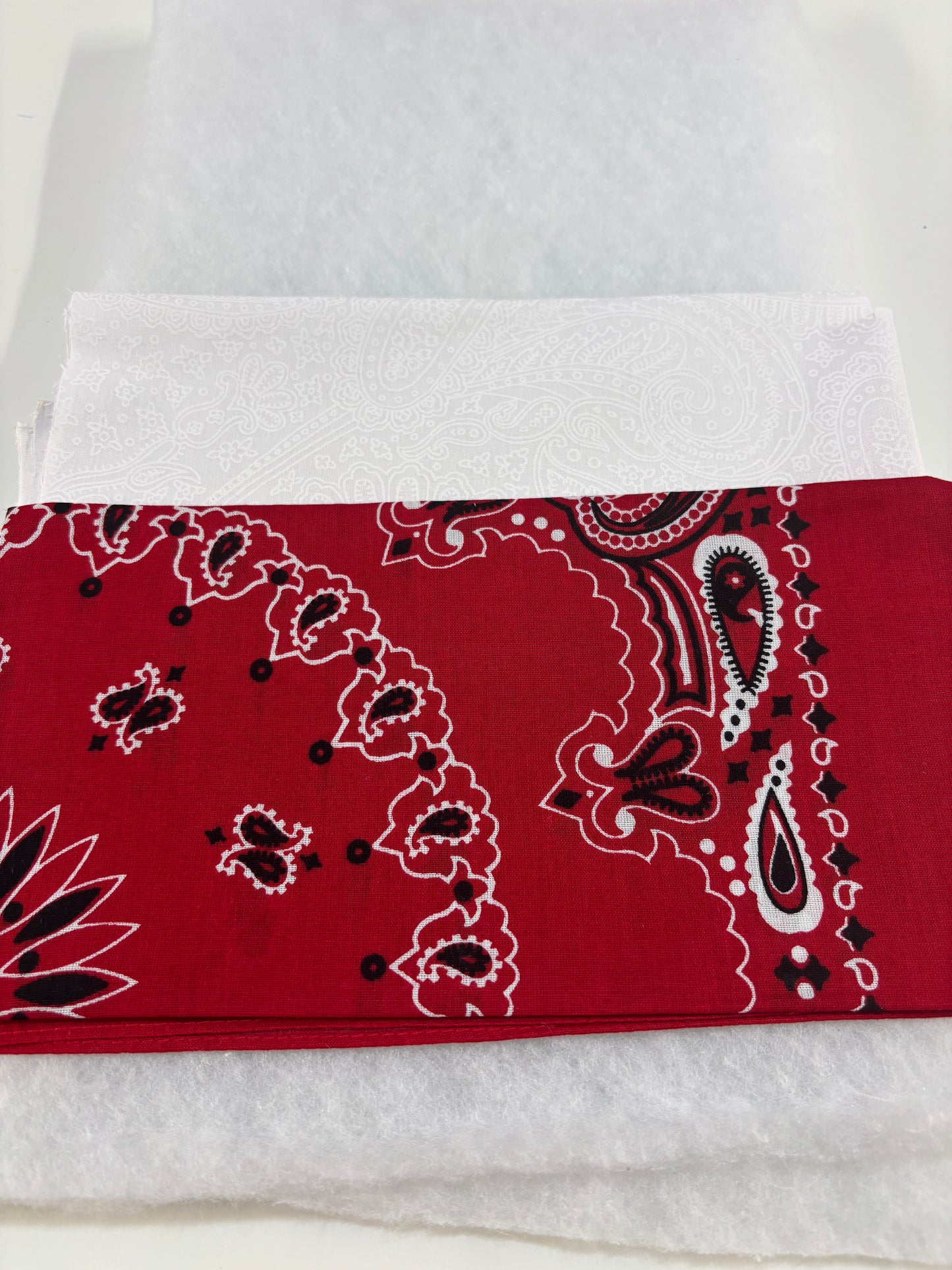 Red Paisley Bandana Sew a Tote Bag Kit