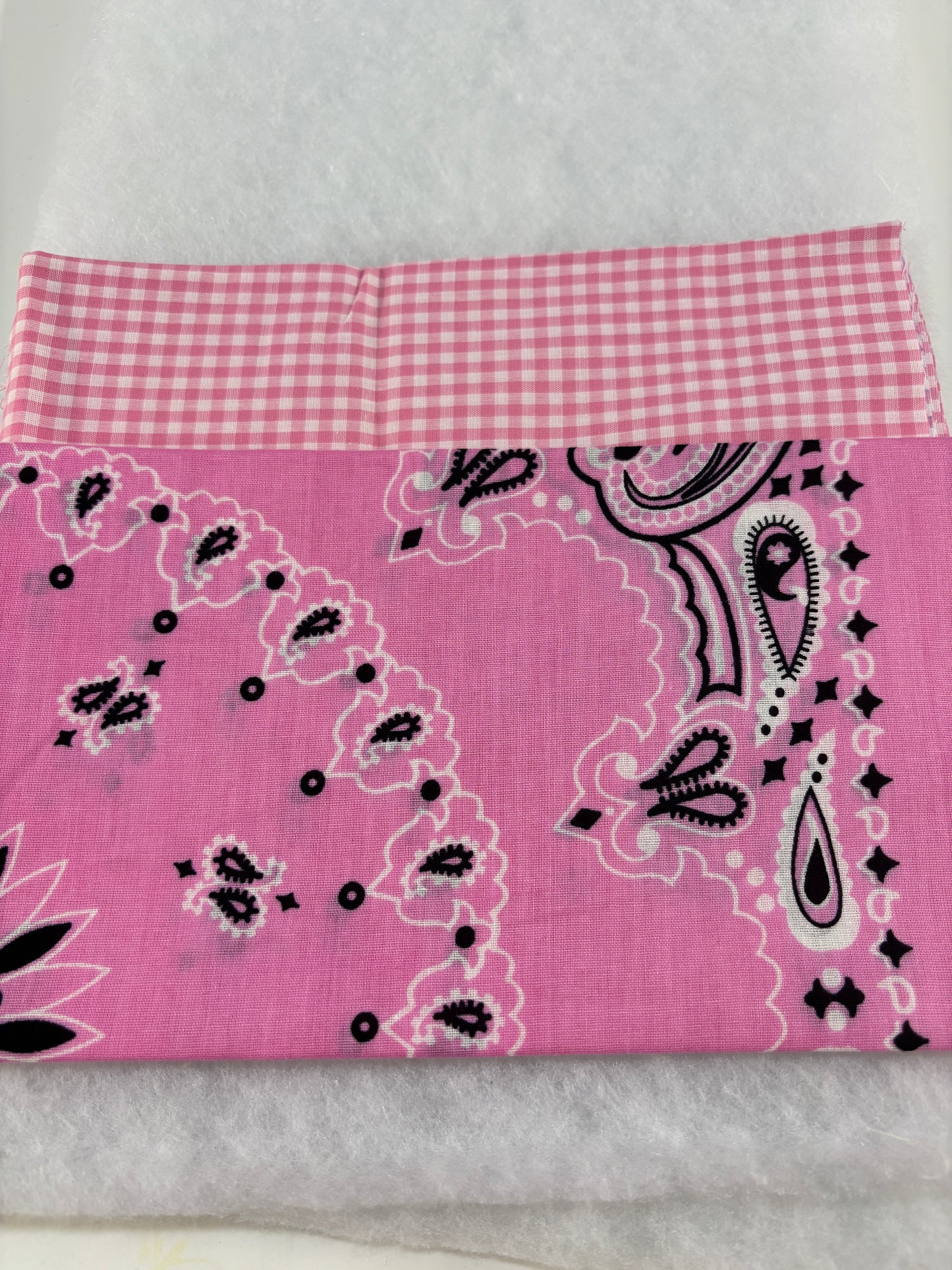 Pink Paisley Bandana Sew a Tote Bag Kit