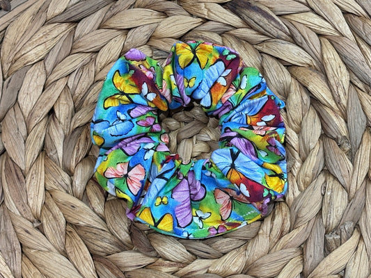 Colorful Butterflies