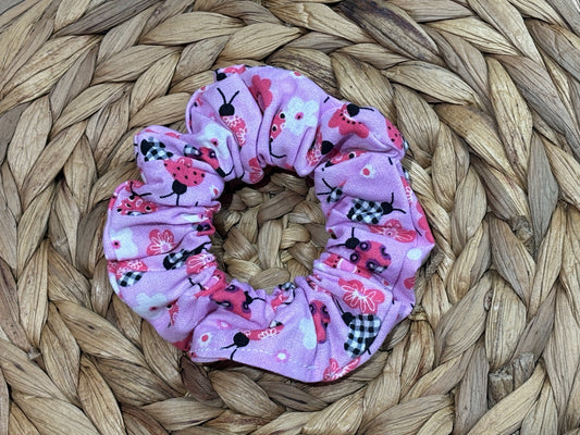 Pink Lady Bugs