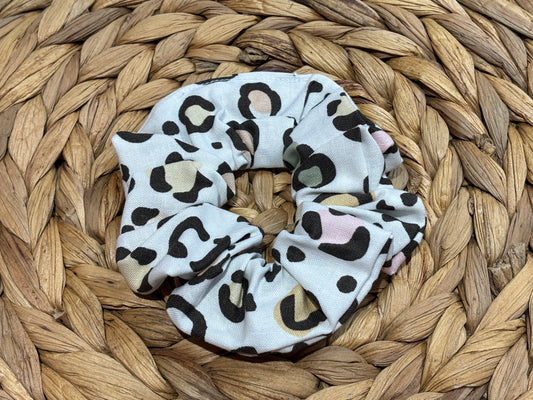 Leopard on White