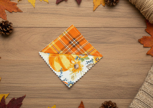 Fall Pumpkin on Teal Bookmark
